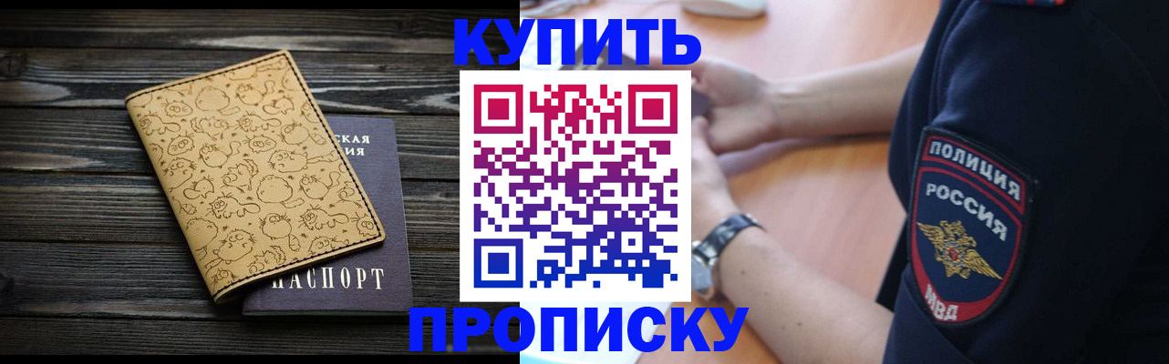 прописка гарантия в Светлогорске