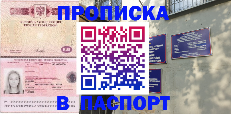 прописка в Светлогорске